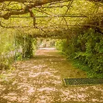 Relax In Style - Prime Spot With Garden & Natural Pool