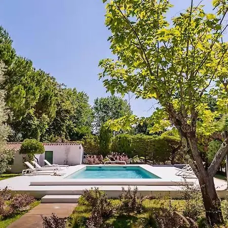 Willa Relax In Style - Prime Spot With Garden & Natural Pool *