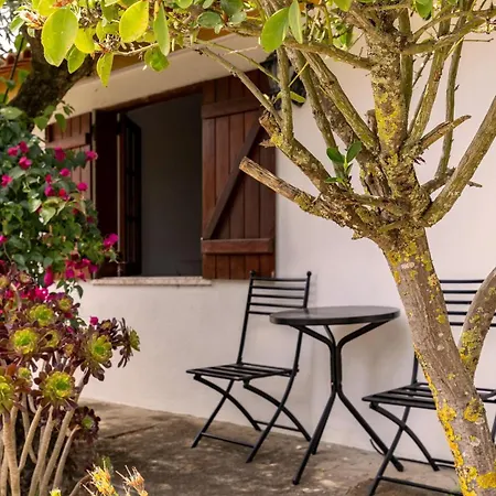 Relax In Style - Prime Spot With Garden & Natural Pool Villa