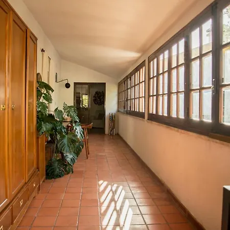Relax In Style - Prime Spot With Garden & Natural Pool *