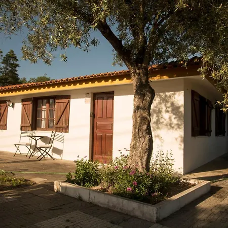 Villa Relax In Style - Prime Spot With Garden & Natural Pool