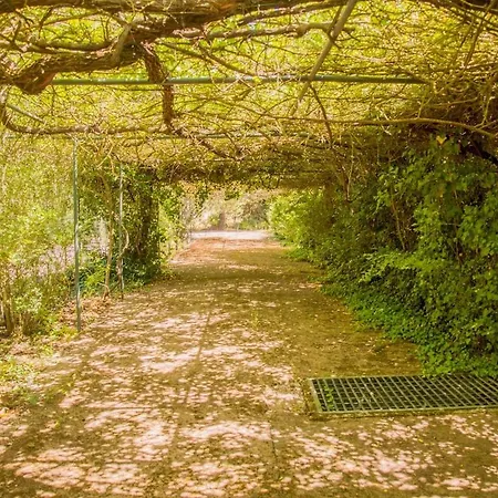 Relax In Style - Prime Spot With Garden & Natural Pool