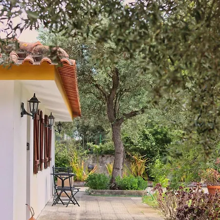 Relax In Style - Prime Spot With Garden & Natural Pool Villa
