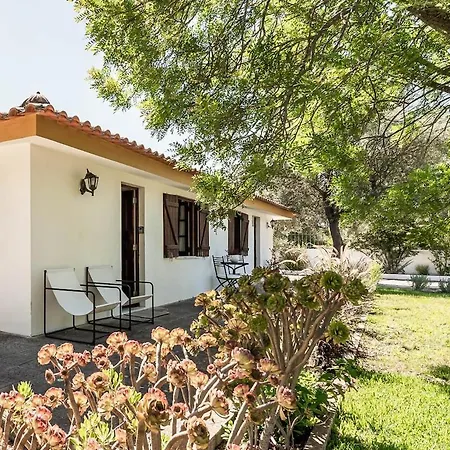 Relax In Style - Prime Spot With Garden & Natural Pool