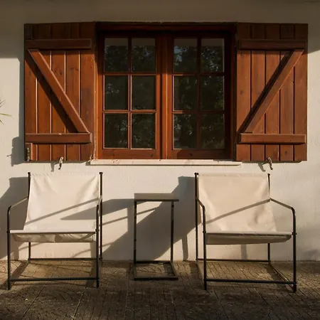 Relax In Style - Prime Spot With Garden & Natural Pool Villa Azeitão