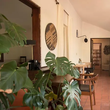 Relax In Style - Prime Spot With Garden & Natural Pool *