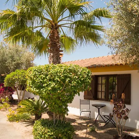 Relax In Style - Prime Spot With Garden & Natural Pool Villa