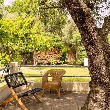 Villa Relax In Style - Prime Spot With Garden & Natural Pool