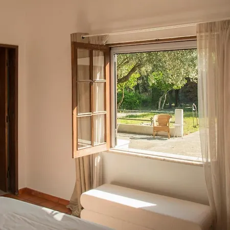 Willa Relax In Style - Prime Spot With Garden & Natural Pool *