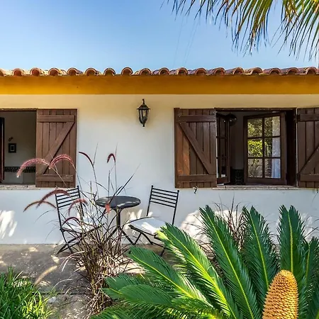 Relax In Style - Prime Spot With Garden & Natural Pool