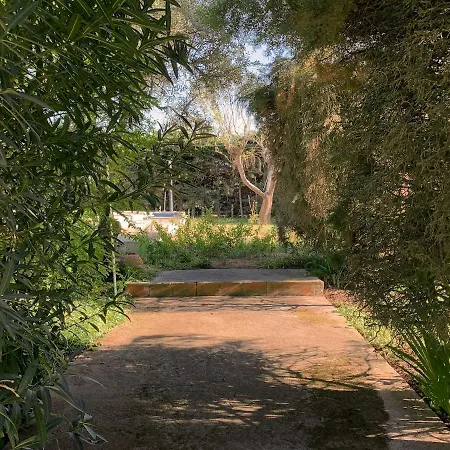 Relax In Style - Prime Spot With Garden & Natural Pool * 阿泽陶