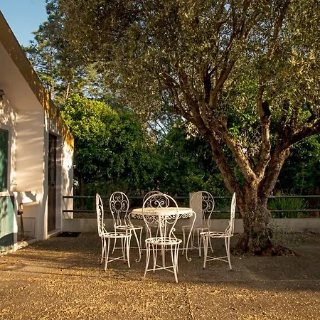 Relax In Style - Prime Spot With Garden & Natural Pool Villa Azeitao