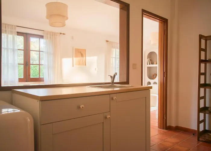 Relax In Style - Prime Spot With Garden & Natural Pool