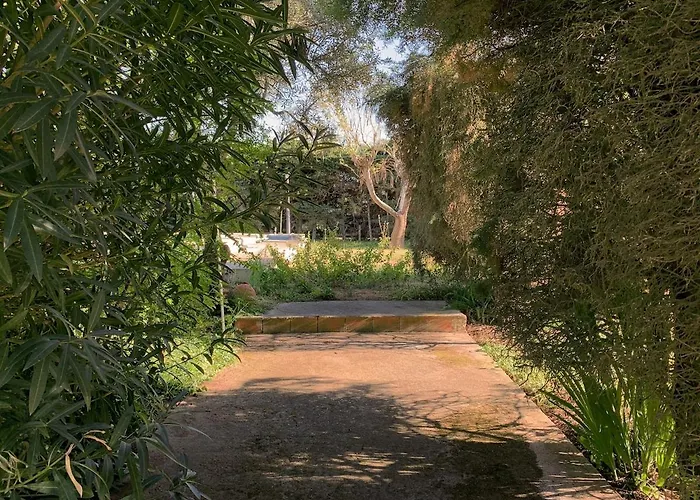 Relax In Style - Prime Spot With Garden & Natural Pool * Azeitão