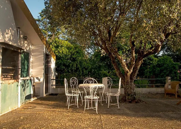 Relax In Style - Prime Spot With Garden & Natural Pool Willa Azeitão